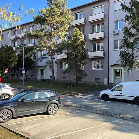 Noir & Gold Apartment