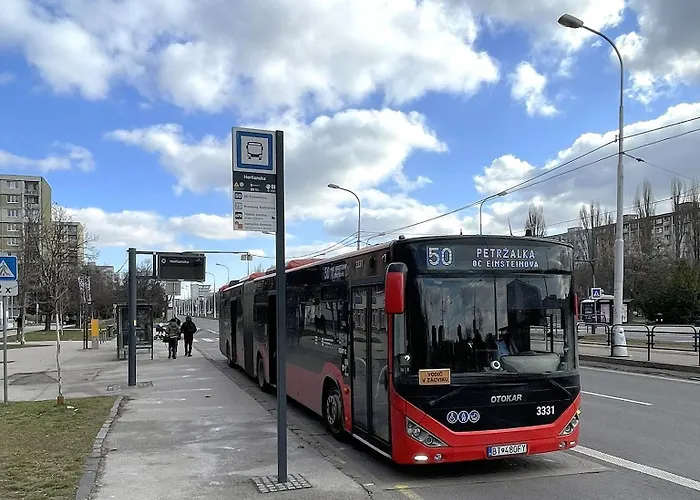 Appartement Noir&gold